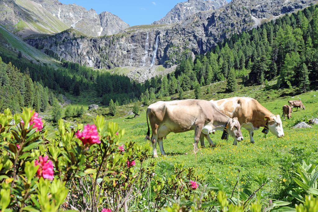 Chalet Tschallener Ried im Oberinntal Ngoại thất bức ảnh